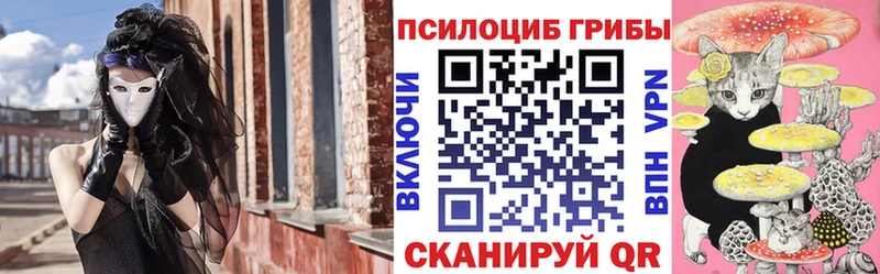 Псилоцибиновые грибы GOLDEN TEACHER купить Очёр